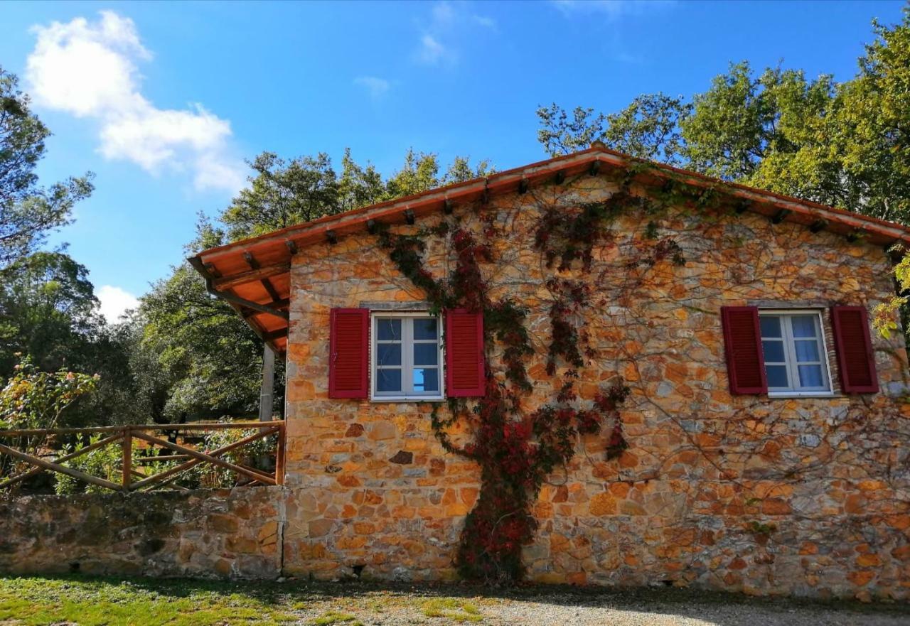 Il Daino Bianco Country Hotel Manciano Ngoại thất bức ảnh