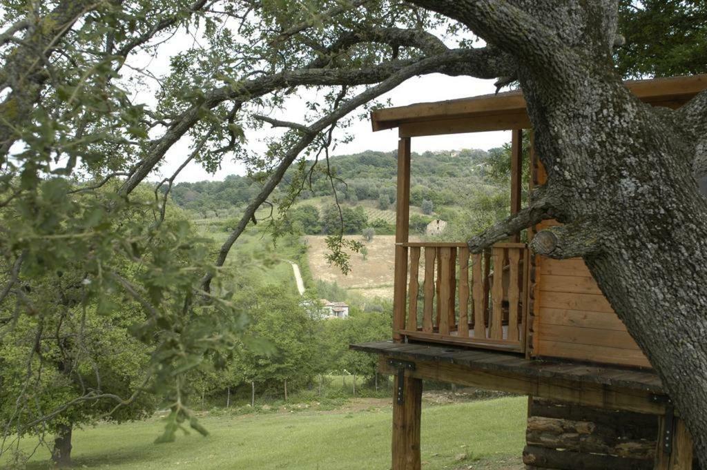 Il Daino Bianco Country Hotel Manciano Ngoại thất bức ảnh