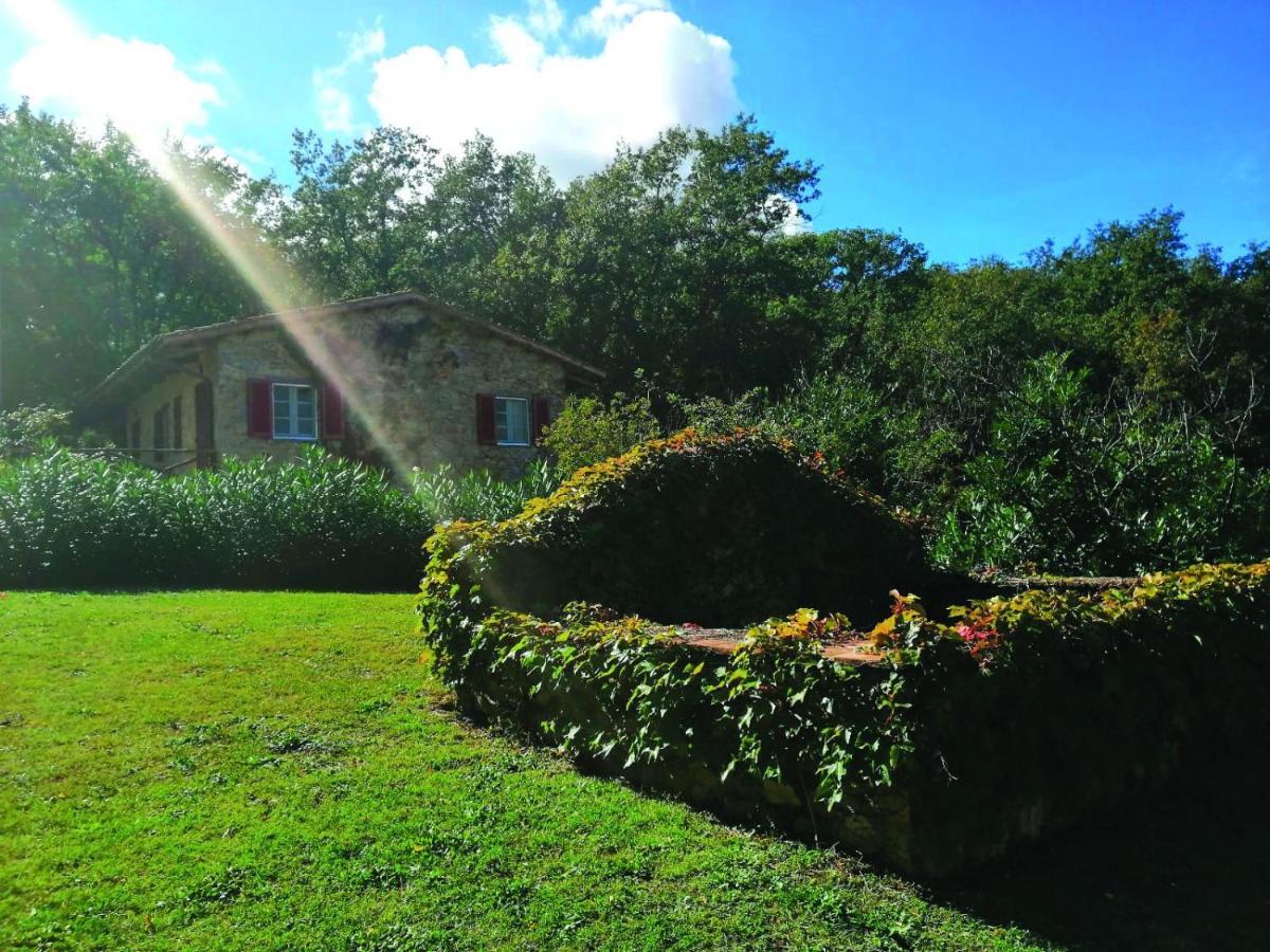 Il Daino Bianco Country Hotel Manciano Ngoại thất bức ảnh
